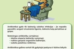 2. Plakatas2012-page-001
