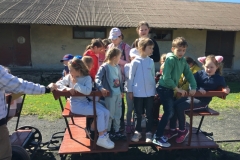 IMG-3388
