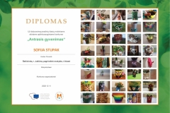 diplomas-Sofija