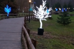 20191213_163746