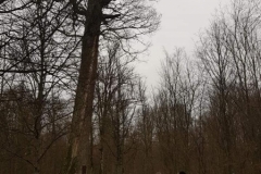 79278913_159790688610482_8078261750614458368_n
