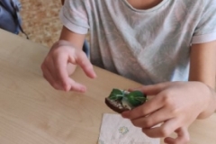 277115497_343692967688699_3751440361518147685_n