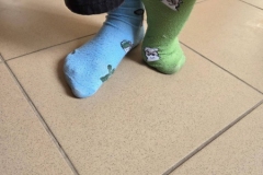 654201777_1601694471086756_7803289203653717461_n-–-kopija