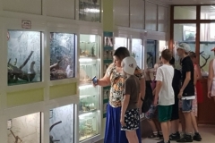 20190612_104135