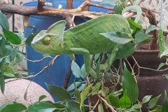 20190612_104258