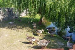 20190612_105213