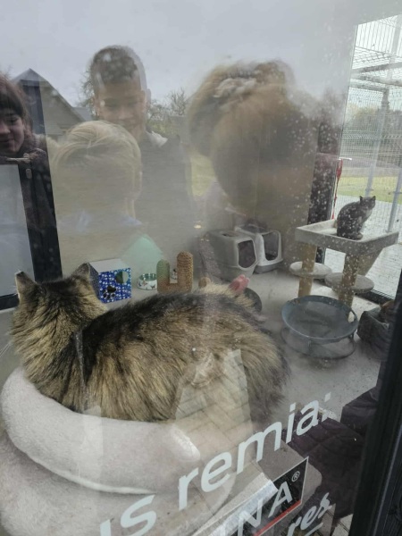 572010201_1495534915036046_1302421071897223419_n