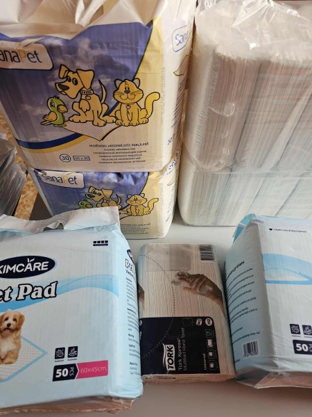 572393349_1495534951702709_4930779898133234399_n