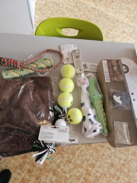 572924431_1495534811702723_7274227415135501626_n