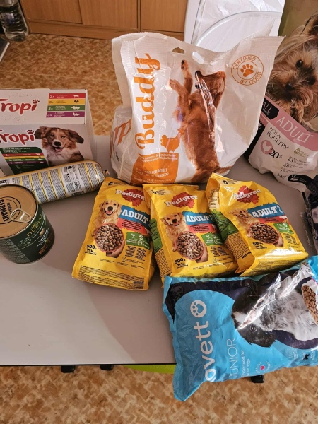 573883261_1495534891702715_6686302741485123629_n