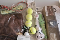 572924431_1495534811702723_7274227415135501626_n