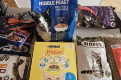 573875662_1495534741702730_6379433218986726420_n