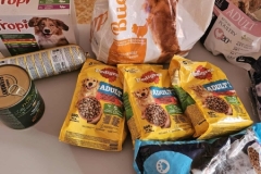 573883261_1495534891702715_6686302741485123629_n