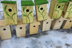 651915115_1596447844944752_627401882003935467_n