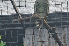 20240605_095323