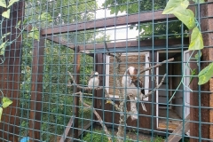 20240605_095500
