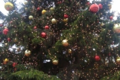 600298111_1532048671384670_6719495697386819989_n