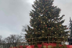 Messenger_creation_A65D23C4-8F3B-4F32-8423-AB8F18962FE4