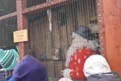 599058062_1527310065191864_7471790124318513205_n