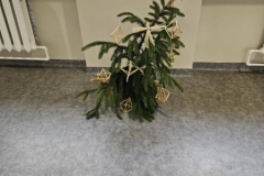 594055693_1521572965765574_6872275652230236521_n