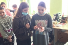 IMG-3031