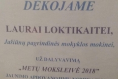 50647929_814004992271115_8946335101390684160_n