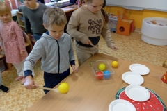 716251010_1660878601835009_1457004507692105044_n-–-kopija