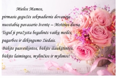 mamos dd-page-001