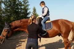 IMG-d98edd8586617ce57c77f3e0ff28dff1-V