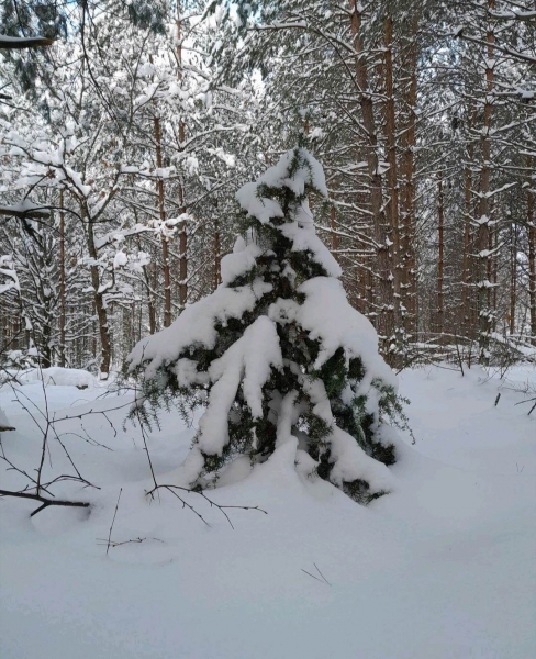 Naujų lūkesčių metas