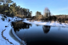 Dievų miškas (1)