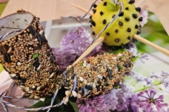 616483158_1553928605863343_6983333742066355758_n