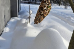 616716837_1553928562530014_4748130269433122377_n