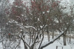 IMG-2250599d18efe52054d25a5ae702ff81-V