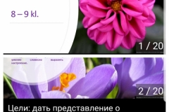 2020-06-19_13.15.11