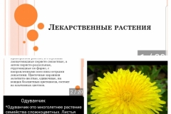 2020-06-19_13.23.41