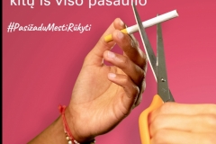 1paveikslėlis-1