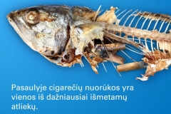 4paveikslėlis-1