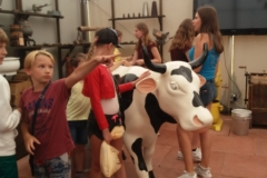 IMG-04a31fee4f408b37c685cf7215848059-V