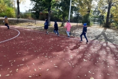 IMG-68eb0275935a71d6e98c3301f5fe3117-V