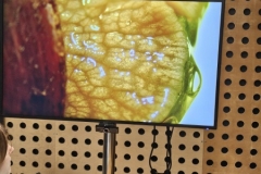 555105530_1466007641322107_6014649766585834952_n
