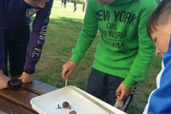 20190530_101045