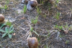 20190530_103014