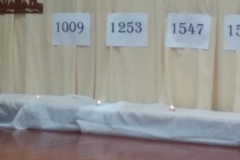 51987060_370721510433644_4317490954903748608_n