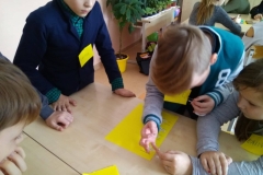 52072603_399380030826003_1728897707289870336_n