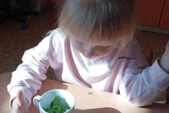 656457301_1607660930490110_1426758939442819795_n