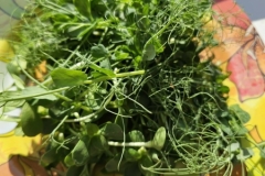 658385876_1607659933823543_8688751501131629155_n