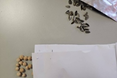 659711105_1607660440490159_4318441642904790998_n