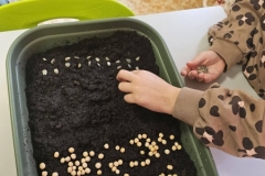 660123531_1607660020490201_8683759533434137489_n