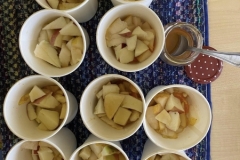 461736799_1209248613664679_2633291813739434358_n – kopija